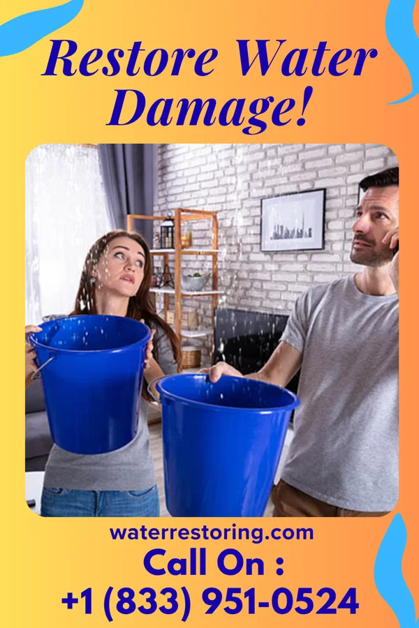 water restoration Apex Water Cleanup Services Belleville