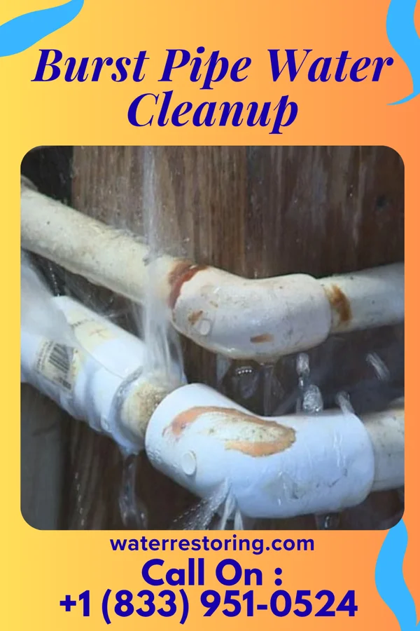 Burst Pipe Water Cleanup in Belleville, MI