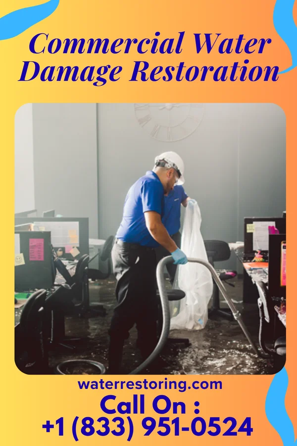 Commercial Water Damage Restoration in Belleville, MI