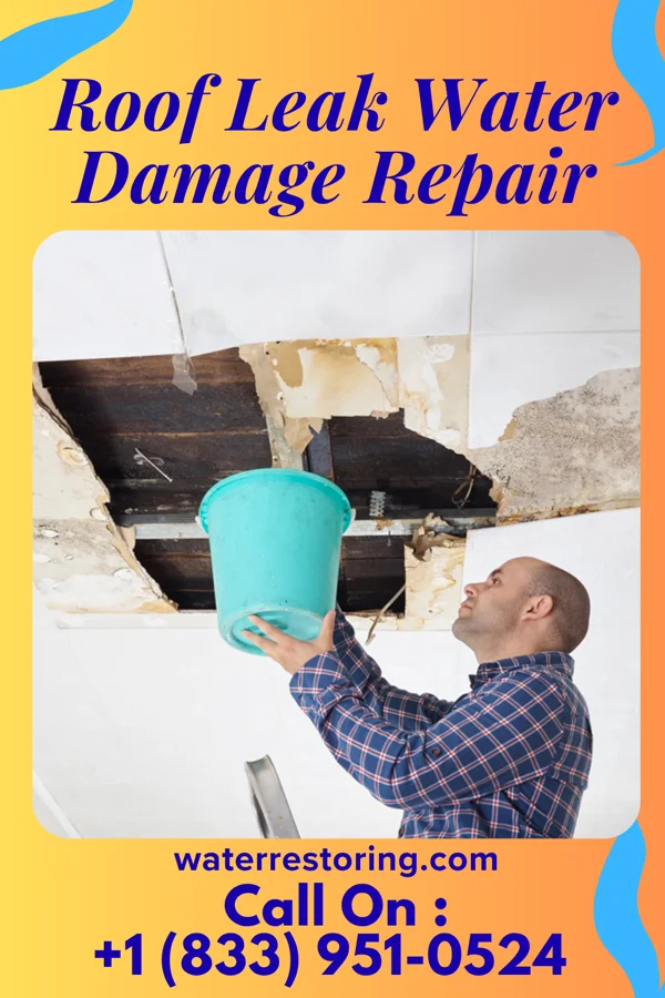 Roof Leak Water Damage Repair in Belleville, MI