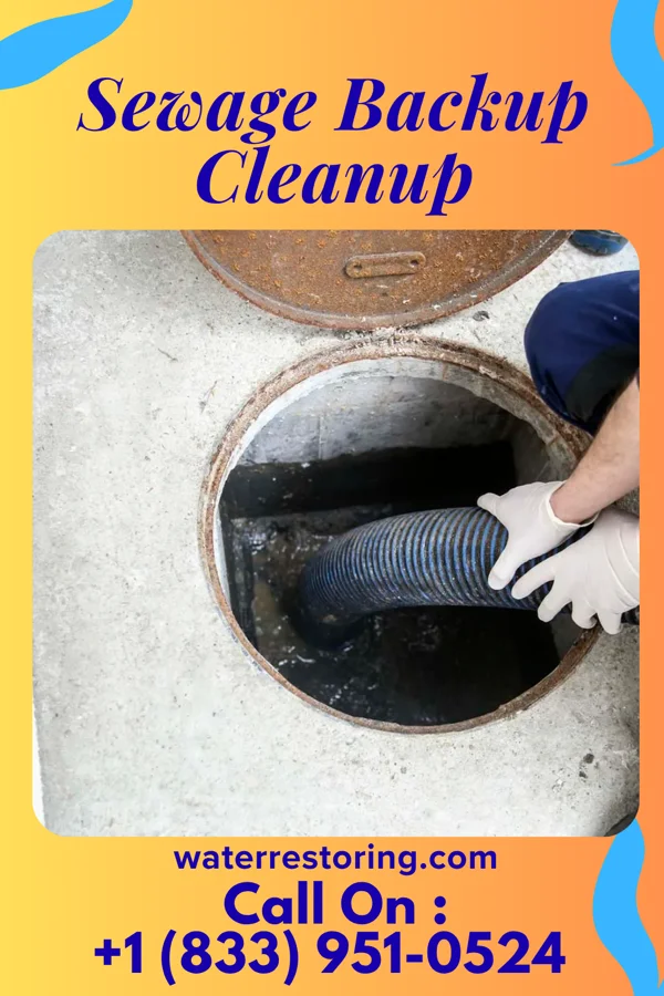 Sewage Backup Cleanup in Belleville, MI