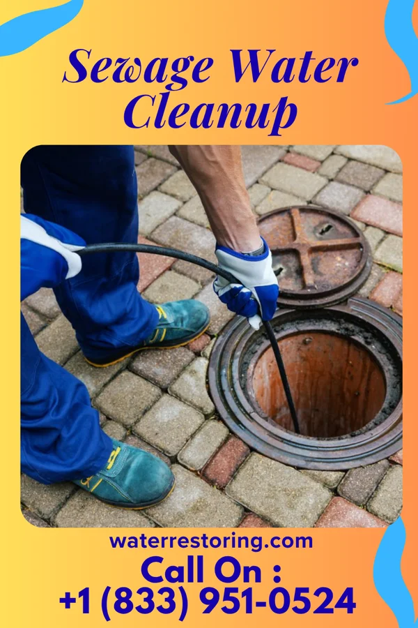 Sewage Water Cleanup in Belleville, MI